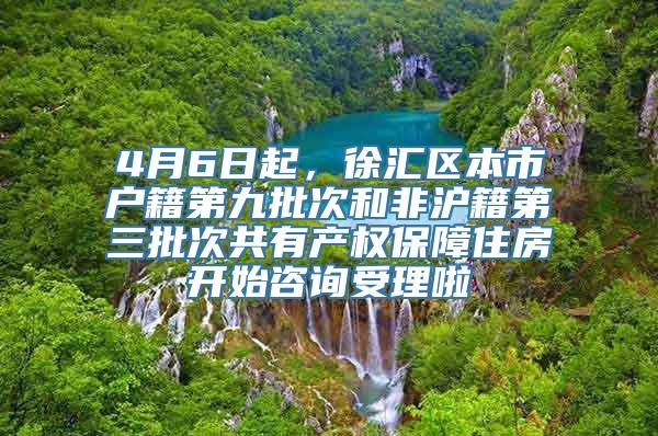 4月6日起，徐汇区本市户籍第九批次和非沪籍第三批次共有产权保障住房开始咨询受理啦