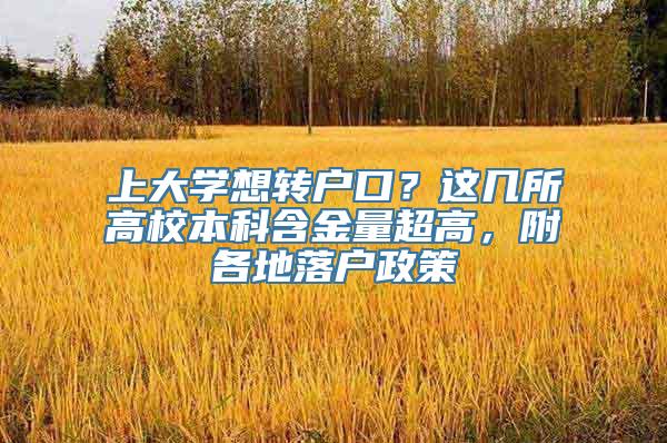 上大学想转户口？这几所高校本科含金量超高，附各地落户政策