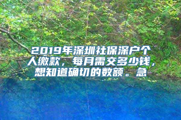 2019年深圳社保深户个人缴款，每月需交多少钱，想知道确切的数额。急