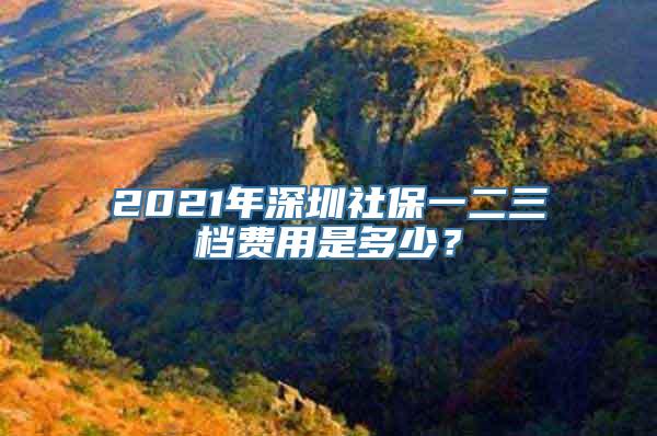 2021年深圳社保一二三档费用是多少？