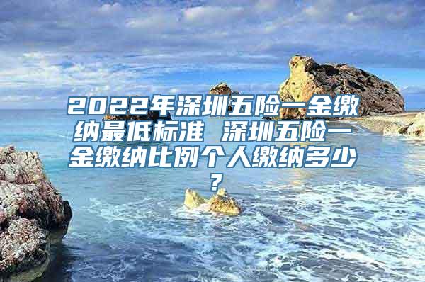 2022年深圳五险一金缴纳最低标准 深圳五险一金缴纳比例个人缴纳多少？