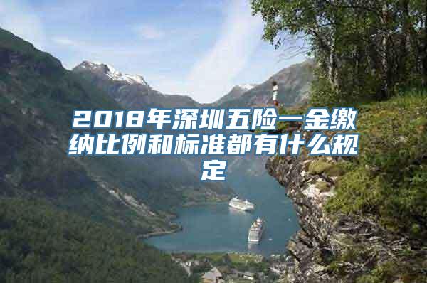 2018年深圳五险一金缴纳比例和标准都有什么规定