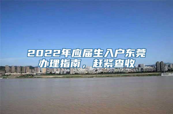 2022年应届生入户东莞办理指南，赶紧查收