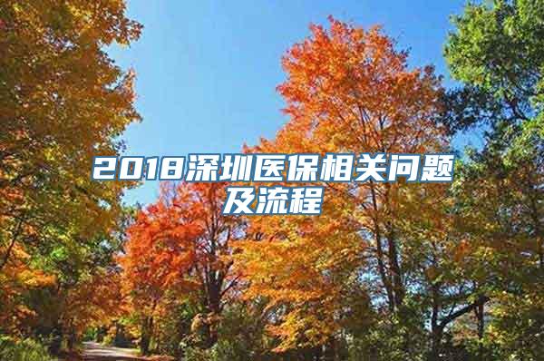 2018深圳医保相关问题及流程