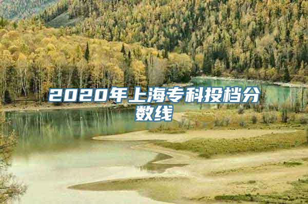 2020年上海专科投档分数线