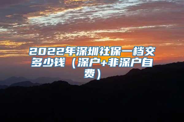 2022年深圳社保一档交多少钱（深户+非深户自费）