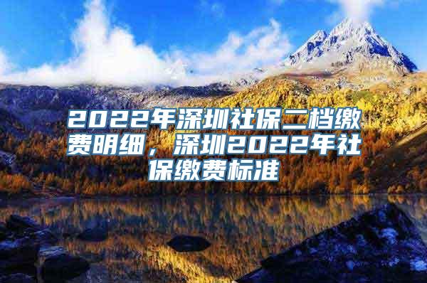 2022年深圳社保二档缴费明细，深圳2022年社保缴费标准