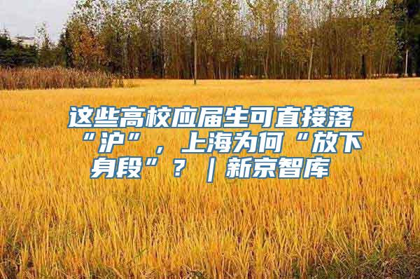 这些高校应届生可直接落“沪”，上海为何“放下身段”？｜新京智库