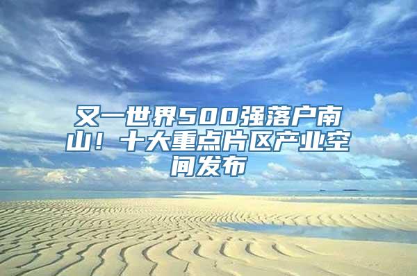 又一世界500强落户南山！十大重点片区产业空间发布