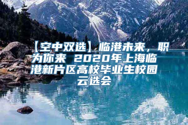 【空中双选】临港未来，职为你来 2020年上海临港新片区高校毕业生校园云选会