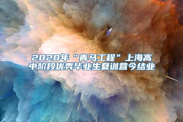 2020年“青马工程”上海高中阶段优秀毕业生夏训营今结业