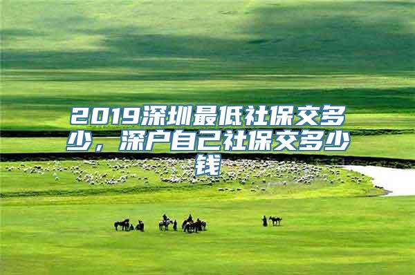 2019深圳最低社保交多少，深户自己社保交多少钱