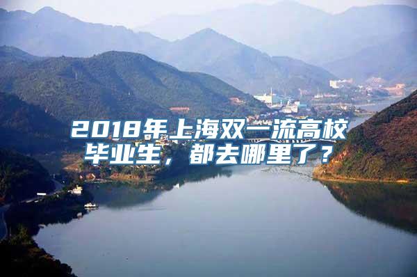 2018年上海双一流高校毕业生，都去哪里了？