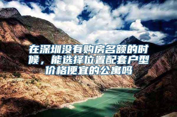 在深圳没有购房名额的时候，能选择位置配套户型价格便宜的公寓吗