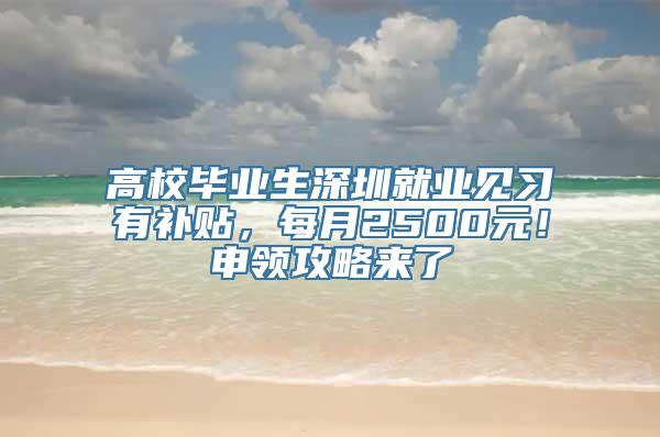 高校毕业生深圳就业见习有补贴，每月2500元！申领攻略来了