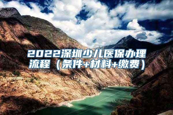 2022深圳少儿医保办理流程（条件+材料+缴费）