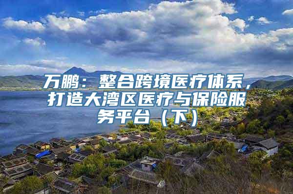 万鹏：整合跨境医疗体系，打造大湾区医疗与保险服务平台（下）