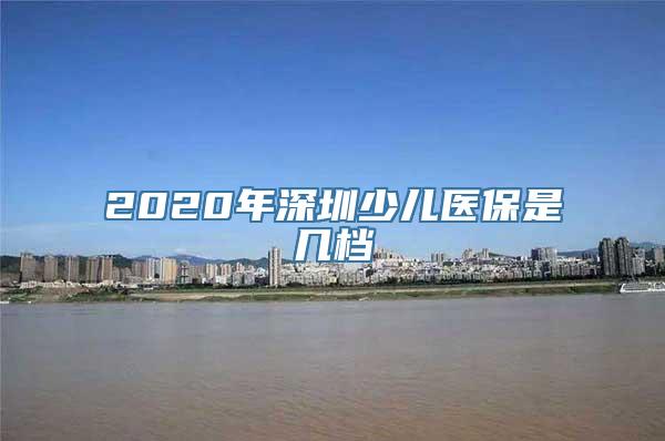 2020年深圳少儿医保是几档