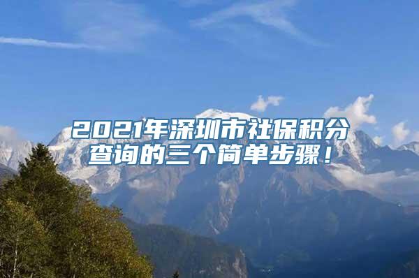 2021年深圳市社保积分查询的三个简单步骤！