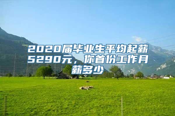 2020届毕业生平均起薪5290元，你首份工作月薪多少