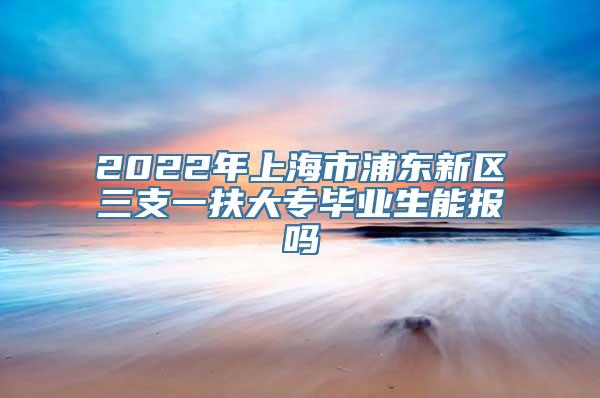 2022年上海市浦东新区三支一扶大专毕业生能报吗