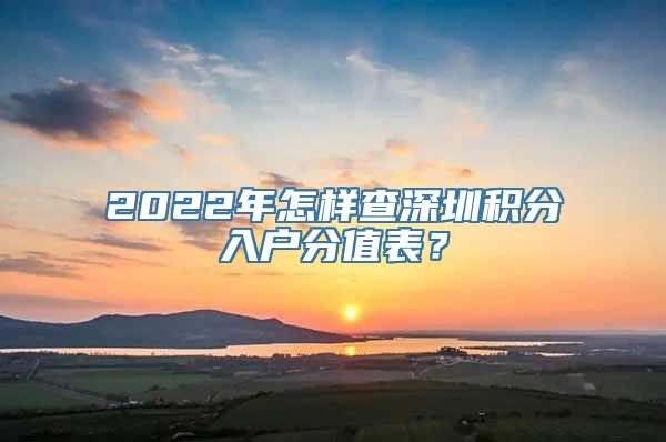 2022年怎样查深圳积分入户分值表？