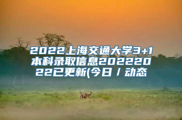 2022上海交通大学3+1本科录取信息20222022已更新(今日／动态