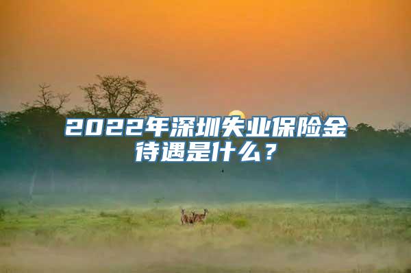 2022年深圳失业保险金待遇是什么？