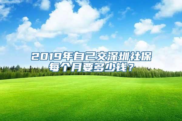 2019年自己交深圳社保每个月要多少钱？