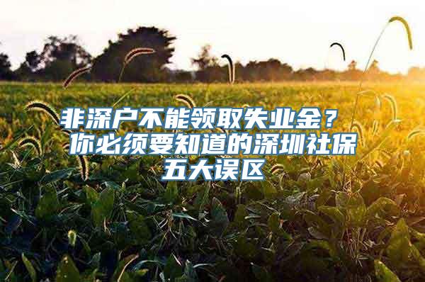 非深户不能领取失业金？ 你必须要知道的深圳社保五大误区