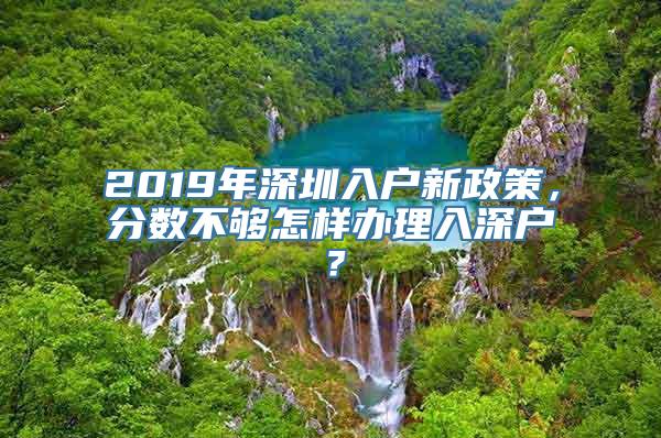 2019年深圳入户新政策，分数不够怎样办理入深户？