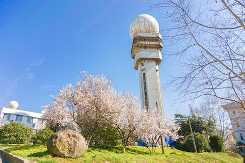 上海财经大学本科3+1专业怎么样2022已更新(今日/商讯)