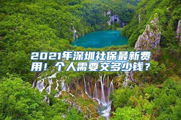 2021年深圳社保最新费用！个人需要交多少钱？