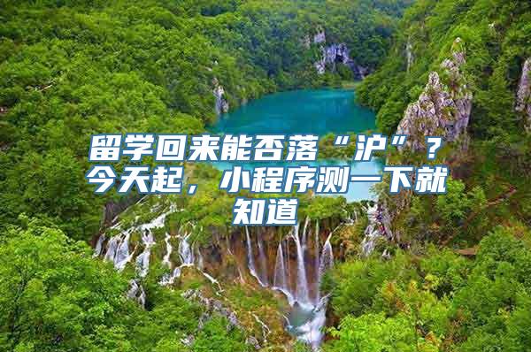 留学回来能否落“沪”？今天起，小程序测一下就知道