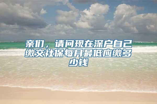 亲们，请问现在深户自己缴交社保每月最低应缴多少钱