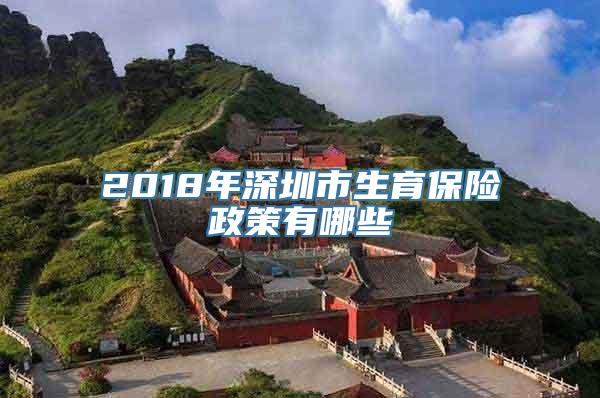 2018年深圳市生育保险政策有哪些