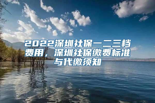 2022深圳社保一二三档费用，深圳社保缴费标准与代缴须知