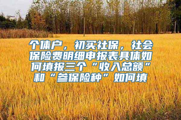 个体户，初买社保，社会保险费明细申报表具体如何填报三个“收入总额”和“参保险种”如何填