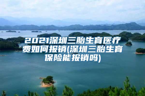 2021深圳三胎生育医疗费如何报销(深圳三胎生育保险能报销吗)