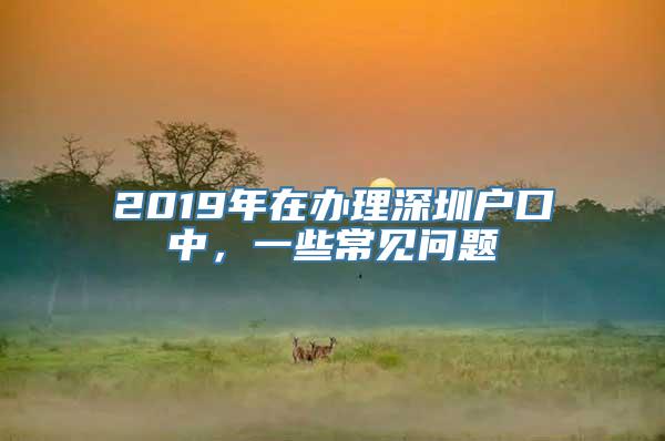 2019年在办理深圳户口中，一些常见问题