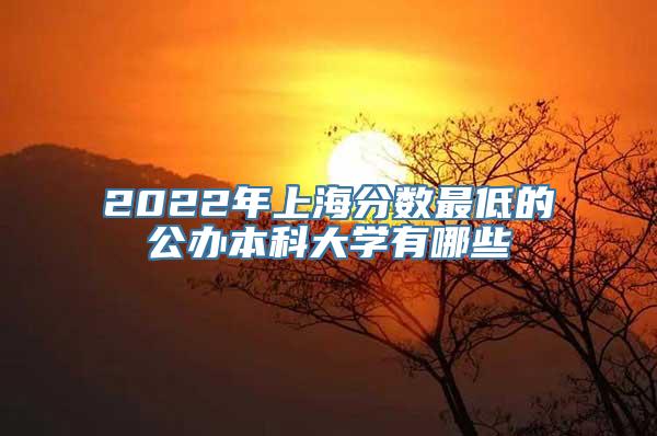 2022年上海分数最低的公办本科大学有哪些