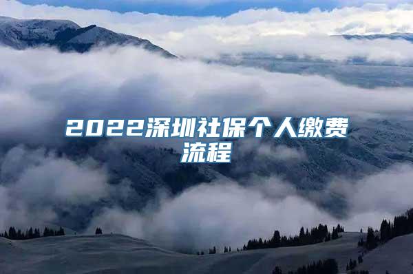 2022深圳社保个人缴费流程