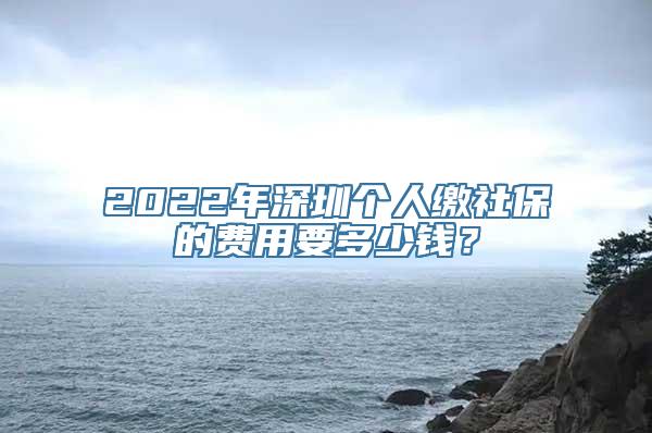 2022年深圳个人缴社保的费用要多少钱？