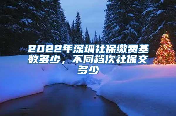 2022年深圳社保缴费基数多少，不同档次社保交多少