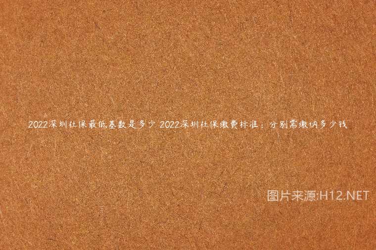 2022深圳社保最低基数是多少 2022深圳社保缴费标准：分别需缴纳多少钱