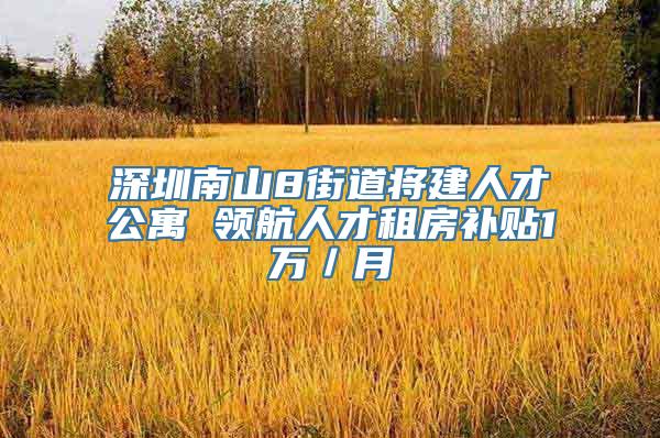 深圳南山8街道将建人才公寓 领航人才租房补贴1万／月