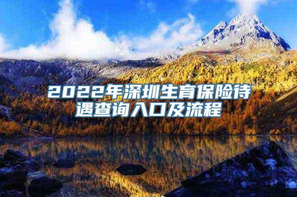 2022年深圳生育保险待遇查询入口及流程