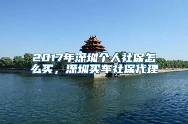 2017年深圳个人社保怎么买，深圳买车社保代理