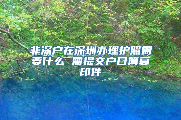 非深户在深圳办理护照需要什么 需提交户口簿复印件