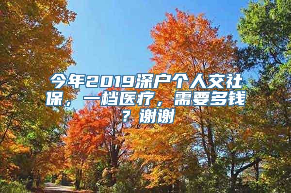 今年2019深户个人交社保，一档医疗，需要多钱？谢谢